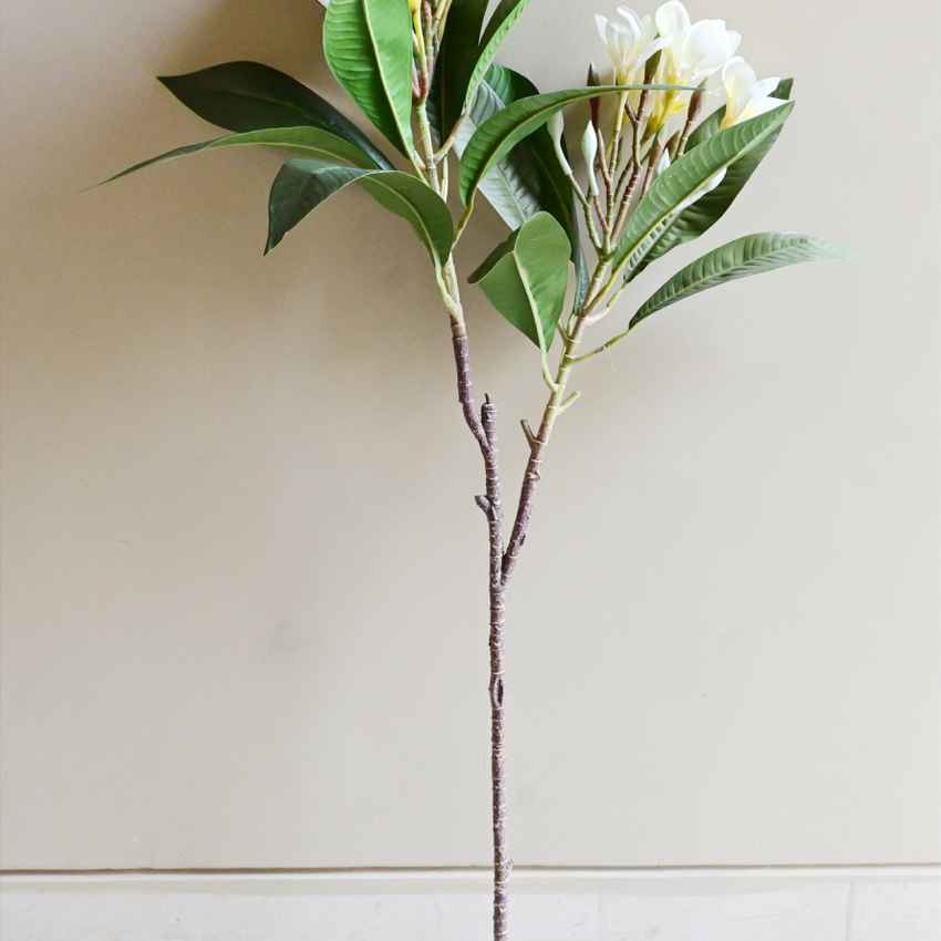 Exquisite Plumeria Frangipani Flower Stick Without Vase | 35 inches