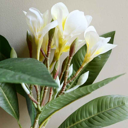 Exquisite Plumeria Frangipani Flower Stick Without Vase | 35 inches