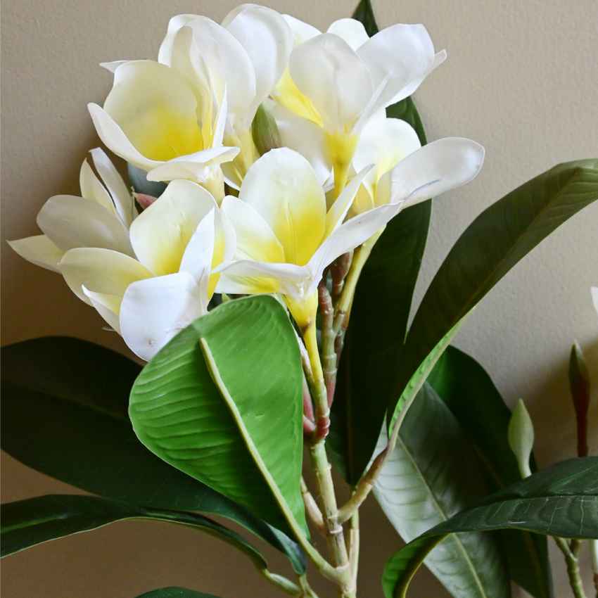 Exquisite Plumeria Frangipani Flower Stick Without Vase | 35 inches