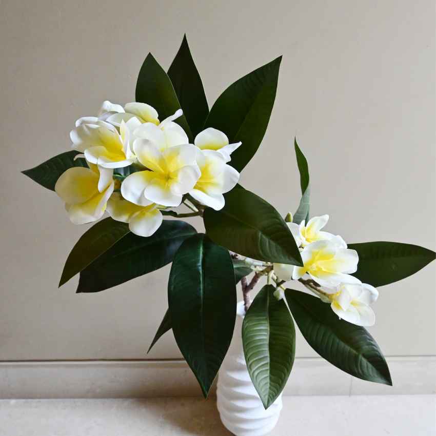 Exquisite Plumeria Frangipani Flower Stick Without Vase | 35 inches