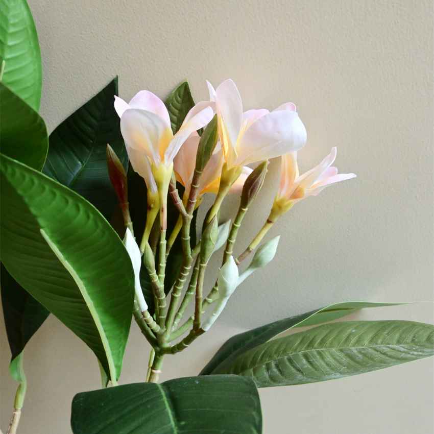 Exquisite Plumeria Frangipani Flower Stick Without Vase | 35 inches