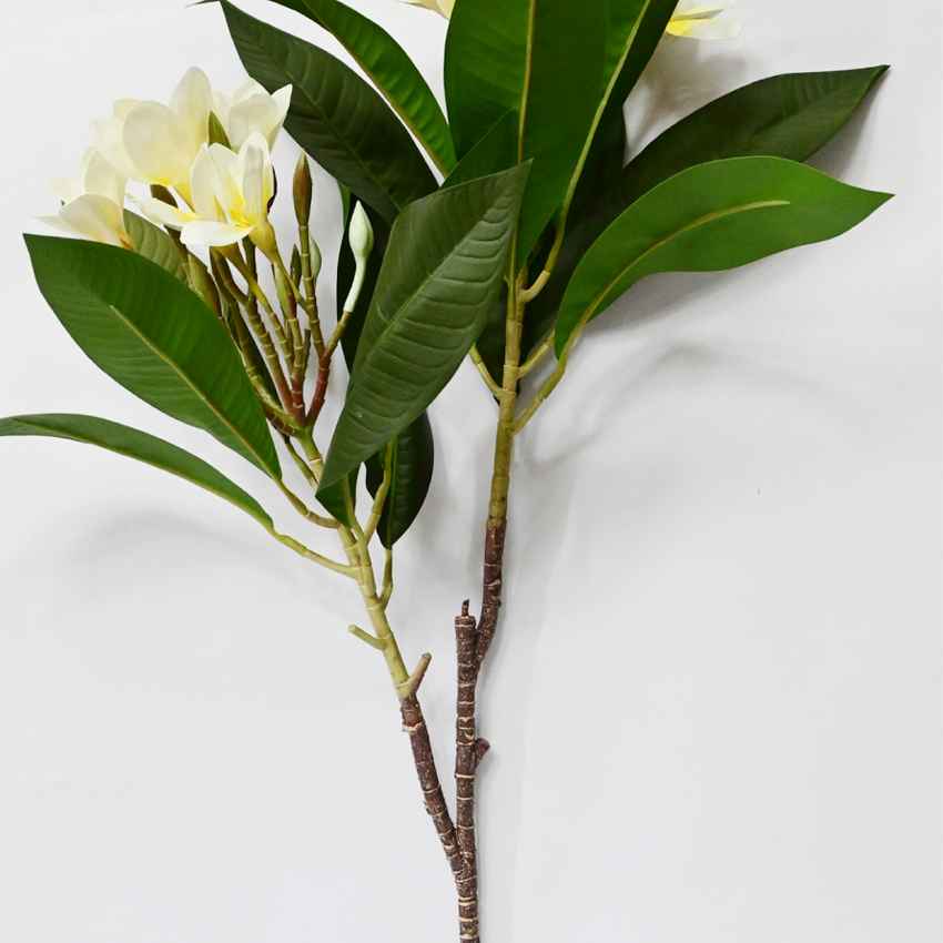 Exquisite Plumeria Frangipani Flower Stick Without Vase | 35 inches