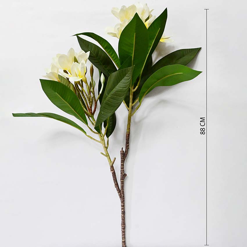 Exquisite Plumeria Frangipani Flower Stick Without Vase | 35 inches