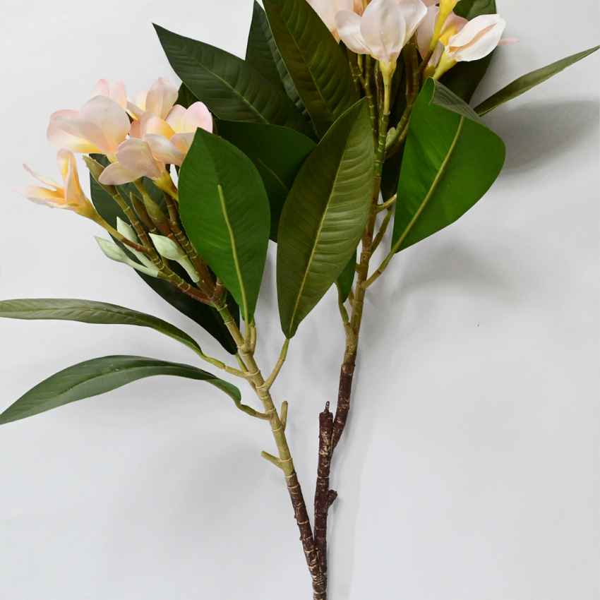 Exquisite Plumeria Frangipani Flower Stick Without Vase | 35 inches