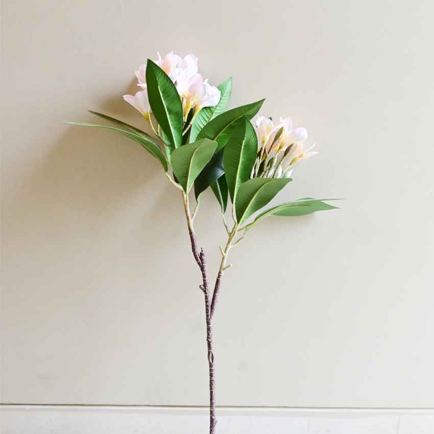 Exquisite Plumeria Frangipani Flower Stick Without Vase | 35 inches