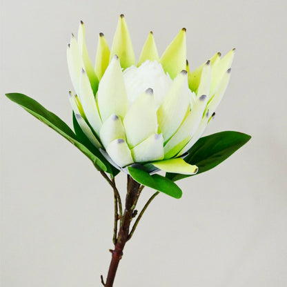 Natural Artificial Queen Protea Flower Stick Stems Without Vase | 2.4 feet