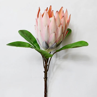 Natural Artificial Queen Protea Flower Stick Stems Without Vase | 2.4 Feet