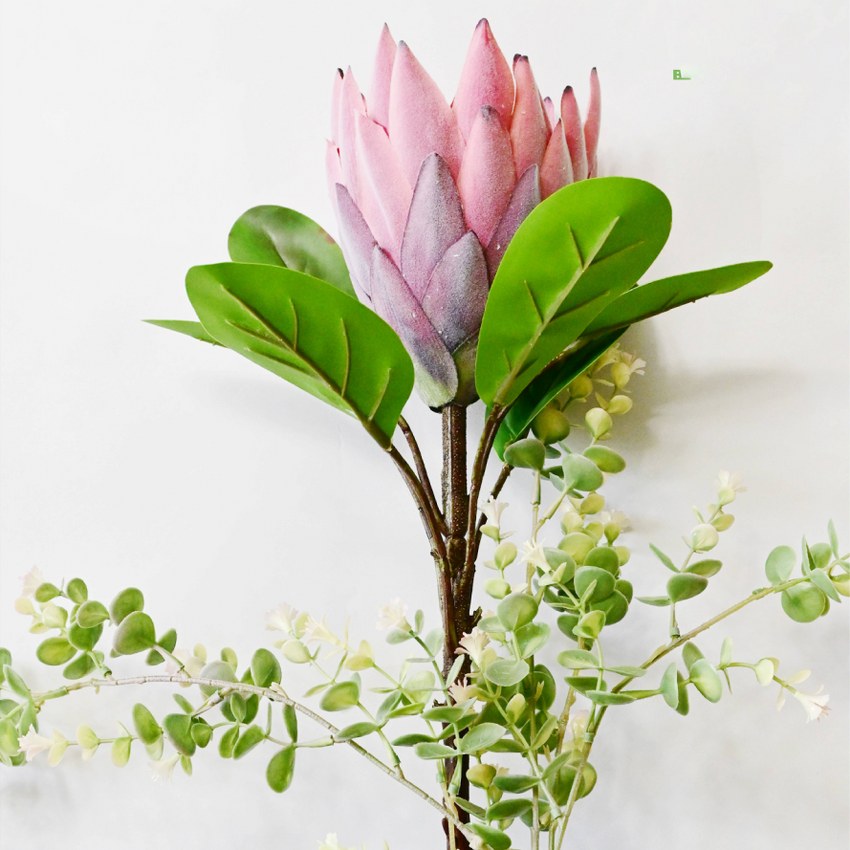 Natural Artificial Queen Protea Flower Stick Stems Without Vase | 2.4 Feet