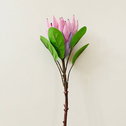 Natural Artificial Queen Protea Flower Stick Stems Without Vase | 2.4 Feet