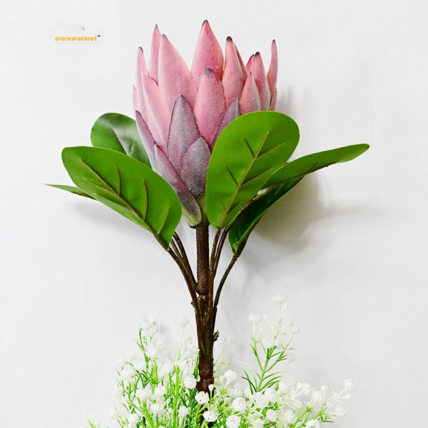 Natural Artificial Queen Protea Flower Stick Stems Without Vase | 2.4 Feet