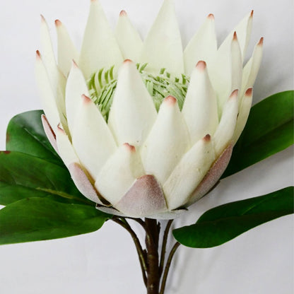 Natural Artificial Queen Protea Flower Stick Stems Without Vase | 2.4 Feet