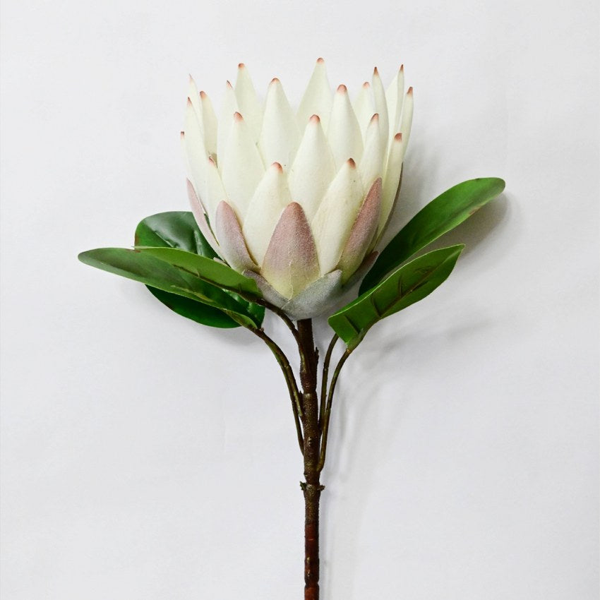 Natural Artificial Queen Protea Flower Stick Stems Without Vase | 2.4 Feet