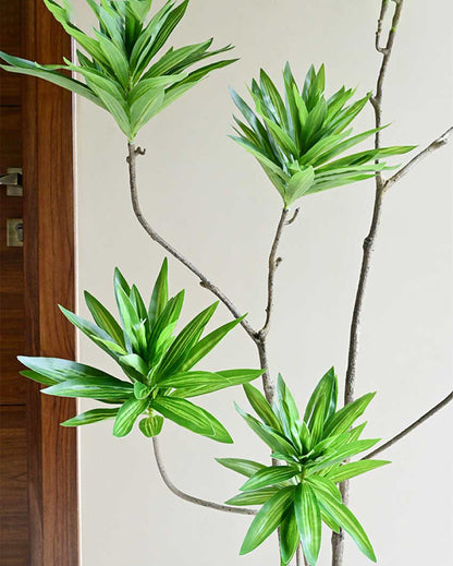 Tall Artificial Dracaena Reflexa Plant with Basic Pot | 5 Feet