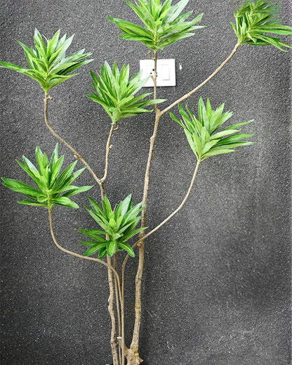 Tall Artificial Dracaena Reflexa Plant with Basic Pot | 5 Feet