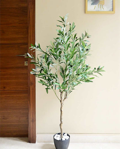 Mediterranean Artificial Olive Plant with Basic Pot | 5 Feet