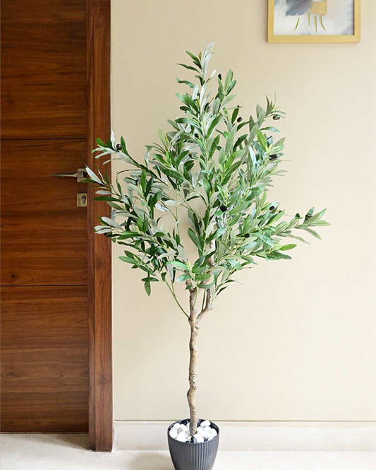 Mediterranean Artificial Olive Plant with Basic Pot | 5 Feet