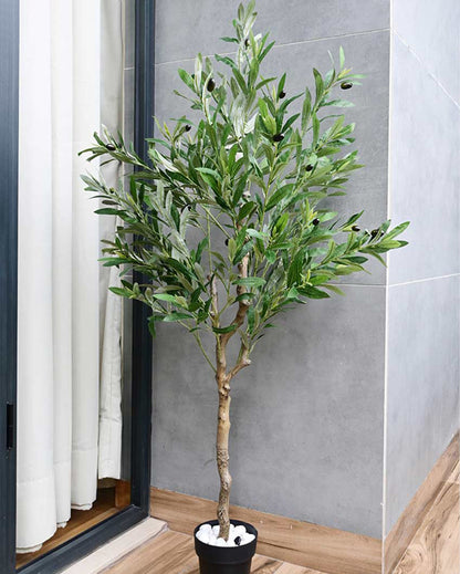 Mediterranean Artificial Olive Plant with Basic Pot | 5 Feet