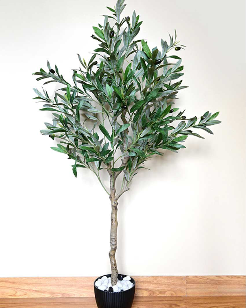 Mediterranean Artificial Olive Plant with Basic Pot | 5 Feet