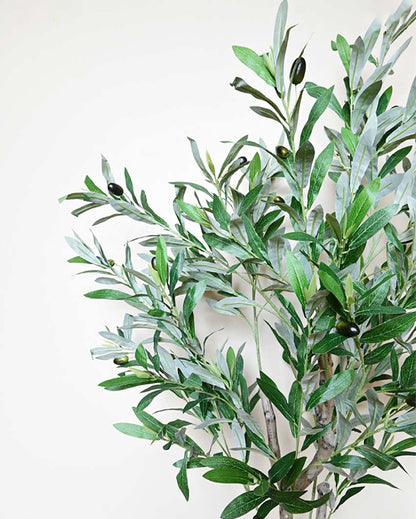 Mediterranean Artificial Olive Plant with Basic Pot | 5 Feet