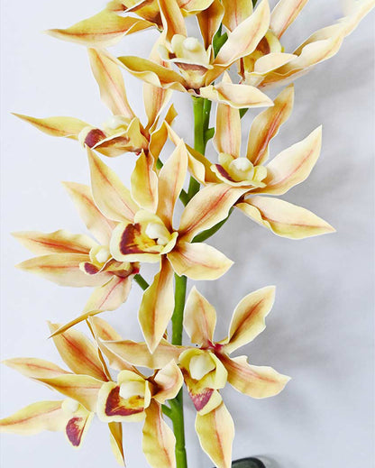 Vibrant Artificial Orchid Realistic Faux Stem Flower Plant Without Vase | 2 Feet