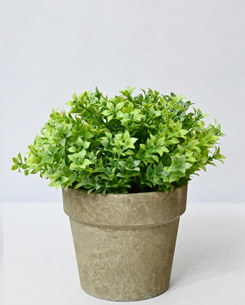 Greenery Artificial Plant with Basic Pot | 7 inches