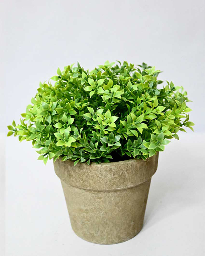 Greenery Artificial Plant with Basic Pot | 7 inches