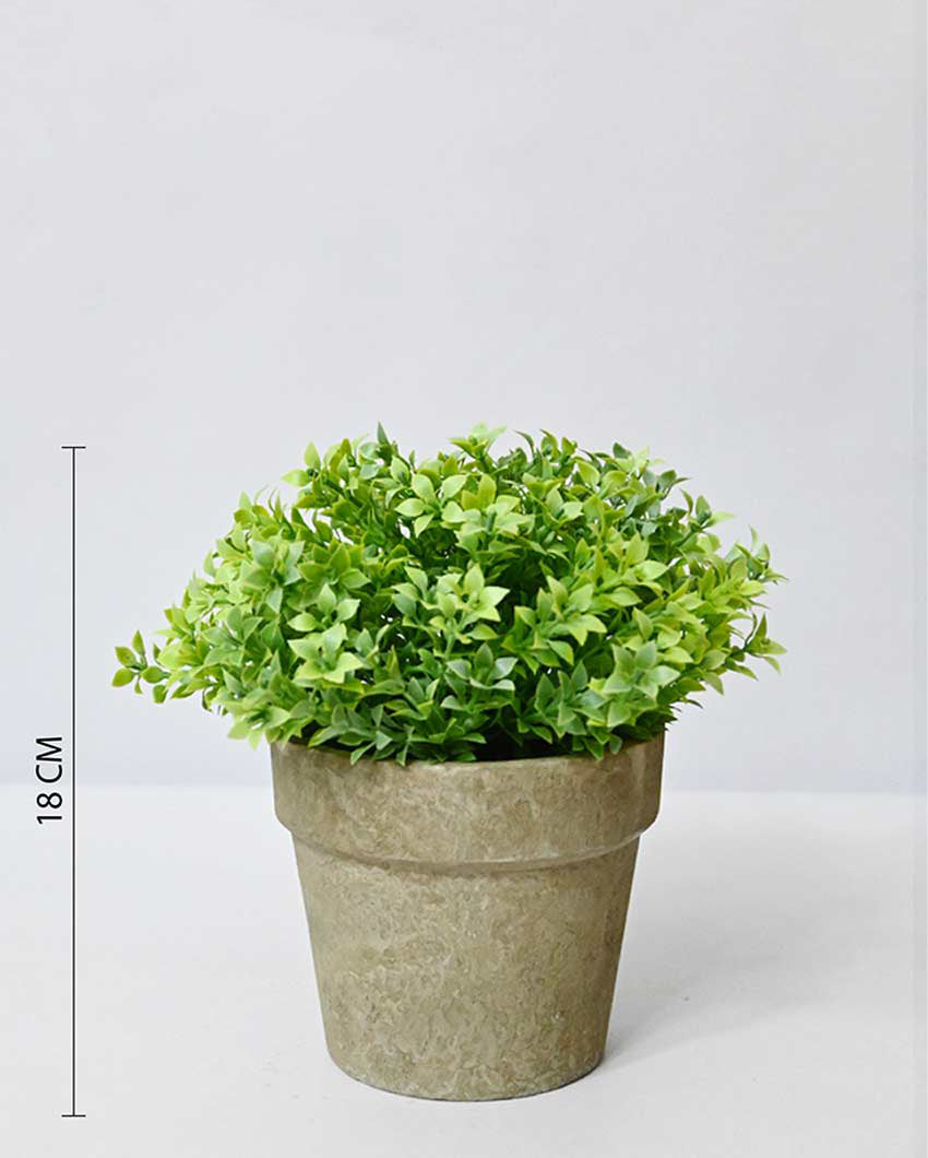 Greenery Artificial Plant with Basic Pot | 7 inches