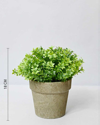 Greenery Artificial Plant with Basic Pot | 7 inches