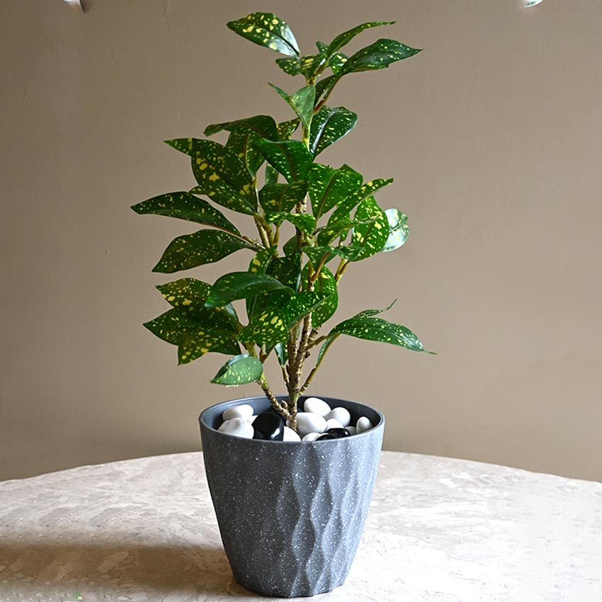 Modern Abstract Dark Grey Textured Planter Small Pot Without Plant | 5 x 5 inches