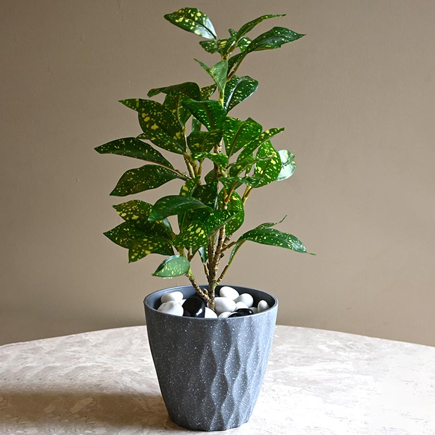Modern Abstract Dark Grey Textured Planter Small Pot Without Plant | 5 x 5 inches