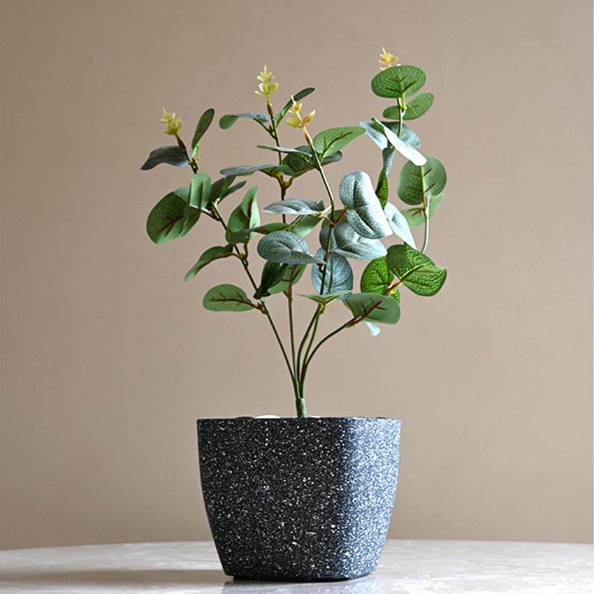 Majestic Dark Grey Textured Planter Square Small Pot | 5 x 4 inches