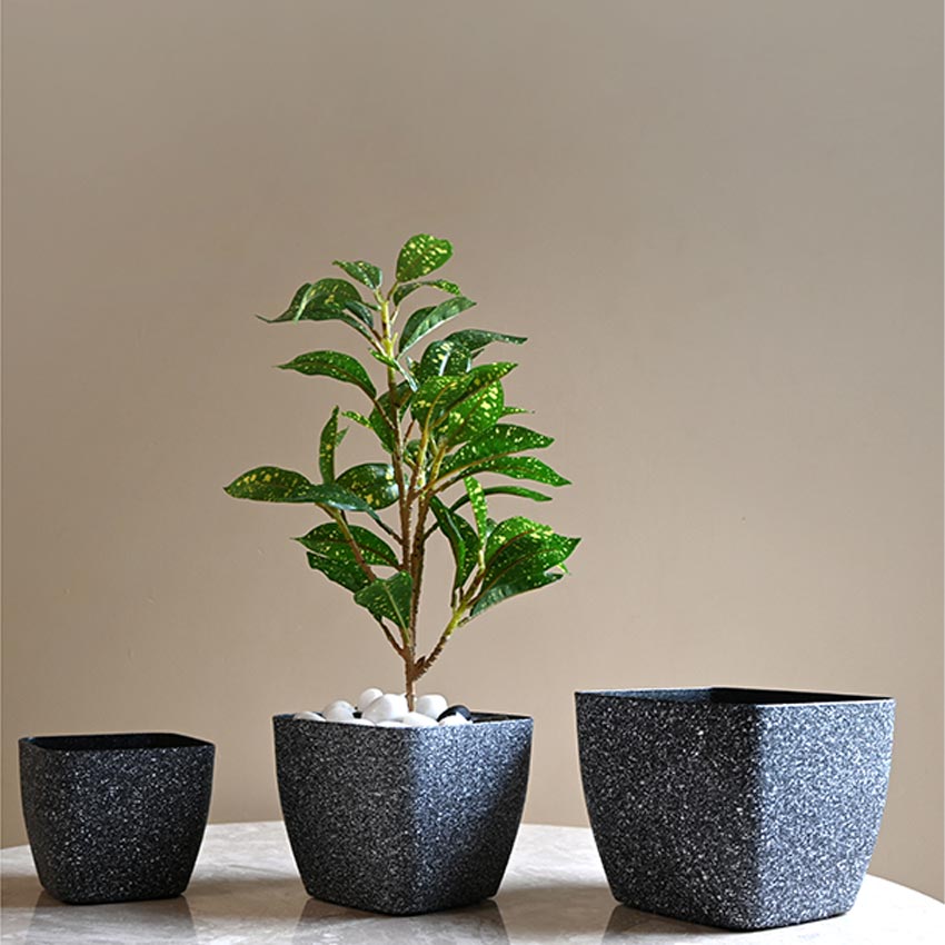 Majestic Dark Grey Textured Planter Square Small Pot | 5 x 4 inches