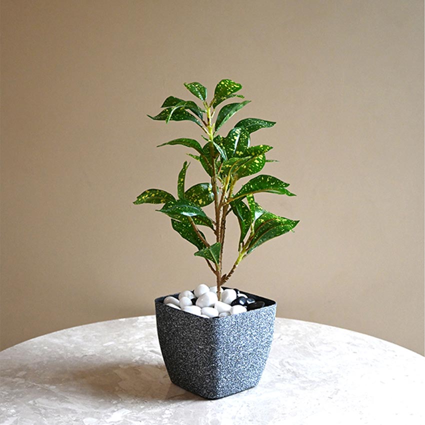 Majestic Dark Grey Textured Planter Square Small Pot | 5 x 4 inches