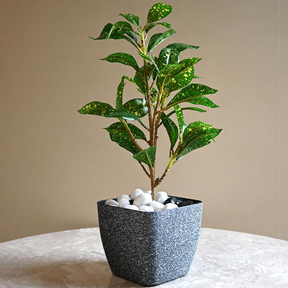 Majestic Dark Grey Textured Planter Square Small Pot | 5 x 4 inches