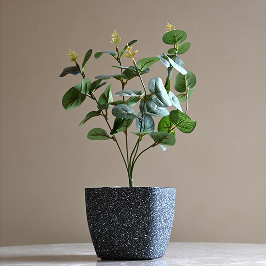 Majestic Dark Grey Textured Planter Square Small Pot | 5 x 4 inches