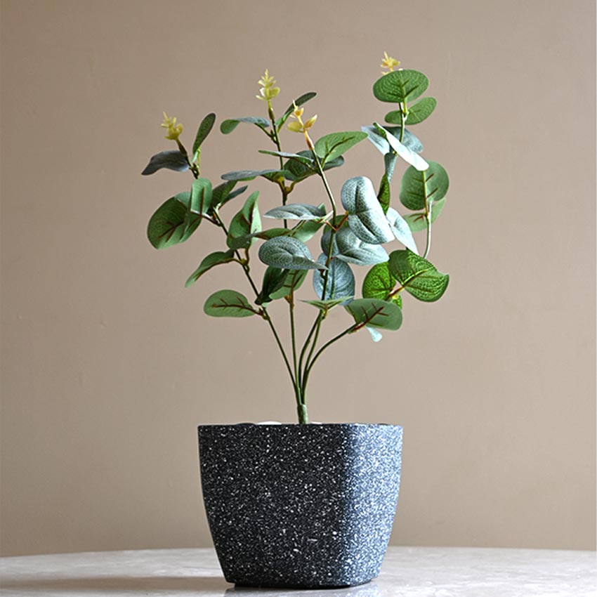 Majestic Dark Grey Textured Planter Square Small Pot | 5 x 4 inches