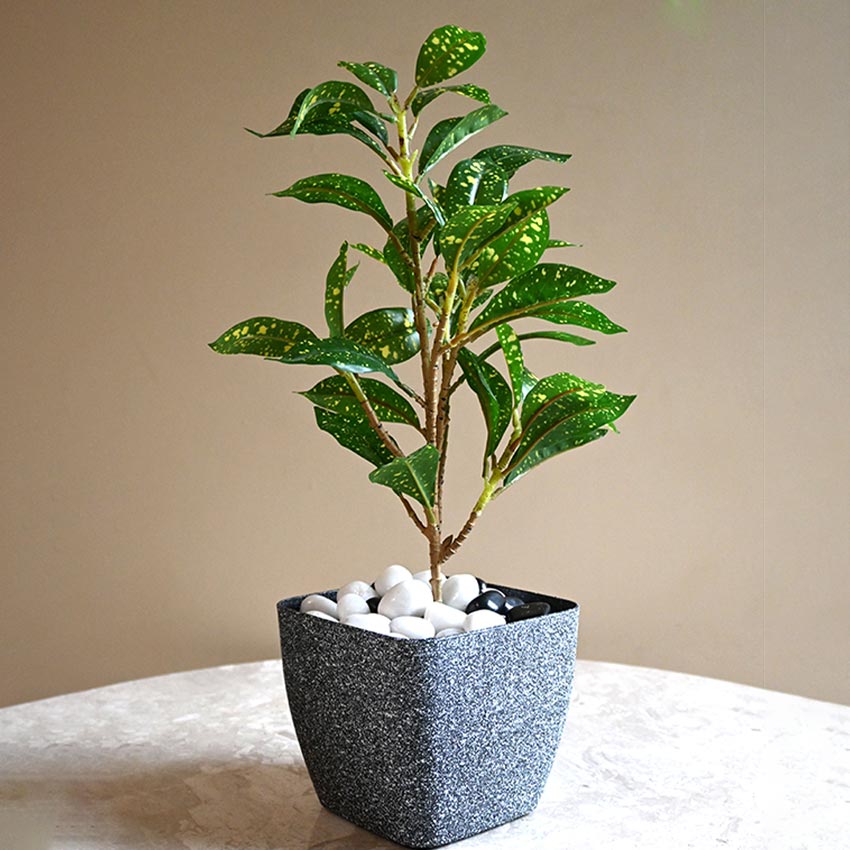 Majestic Dark Grey Textured Planter Square Small Pot | 5 x 4 inches