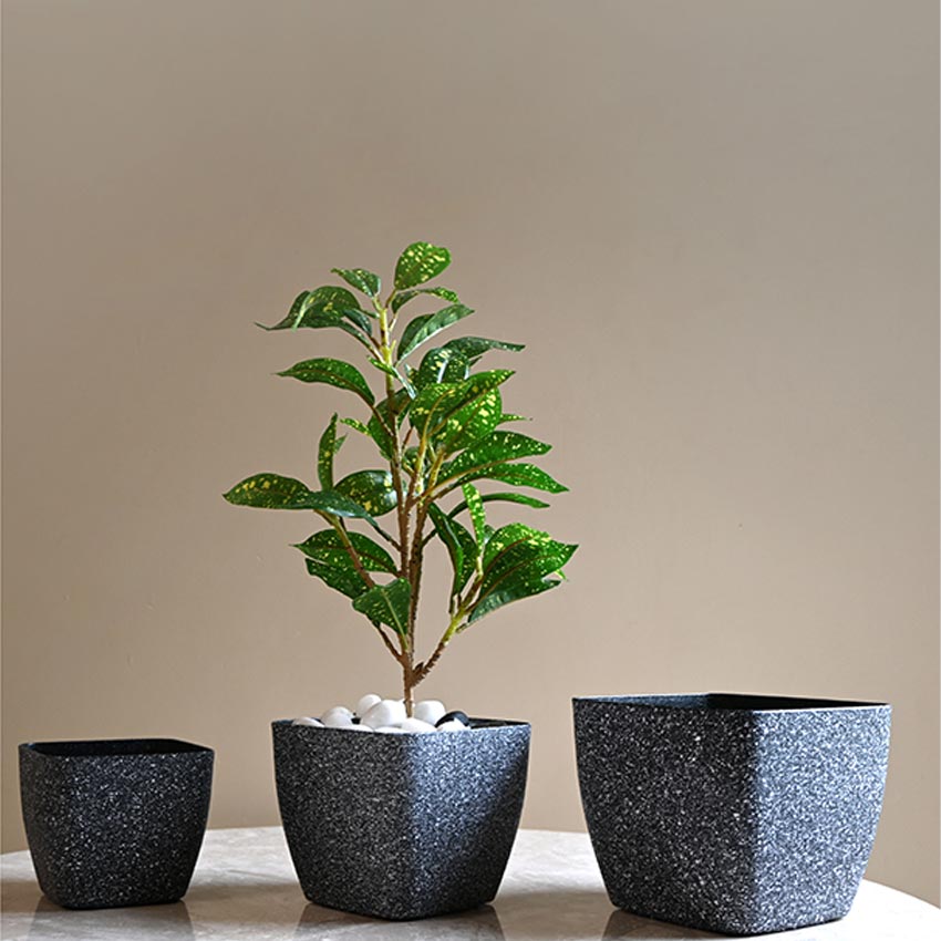 Majestic Dark Grey Textured Planter Square Small Pot | 5 x 4 inches
