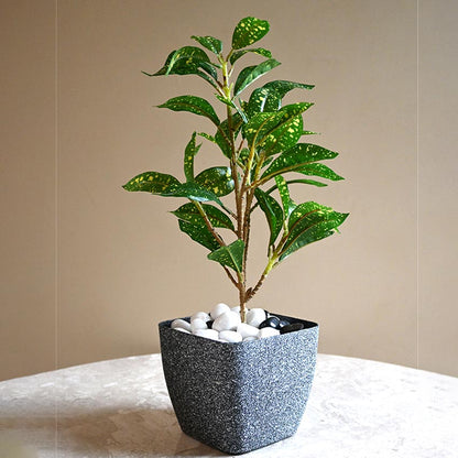 Majestic Dark Grey Textured Planter Square Small Pot | 5 x 4 inches