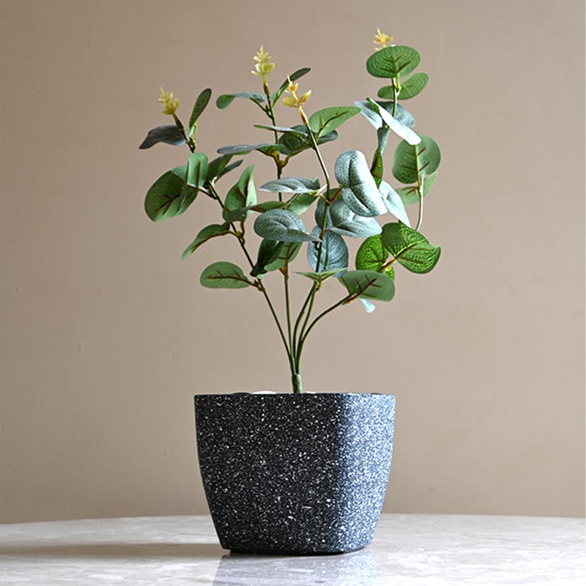 Majestic Dark Grey Textured Planter Square Large Pot Without Plant | 7 x 6 inches