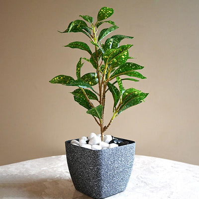 Majestic Dark Grey Textured Planter Square Large Pot Without Plant | 7 x 6 inches