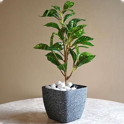 Majestic Dark Grey Textured Planter Square Large Pot Without Plant | 7 x 6 inches
