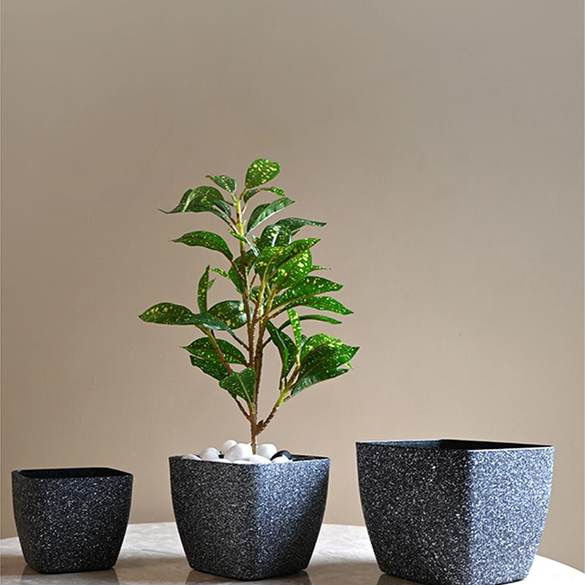 Majestic Dark Grey Textured Planter Square Large Pot Without Plant | 7 x 6 inches