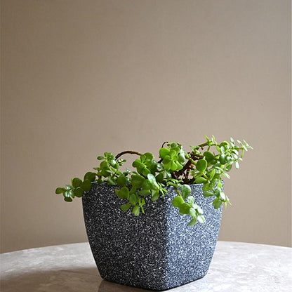 Majestic Dark Grey Textured Planter Square Large Pot Without Plant | 7 x 6 inches
