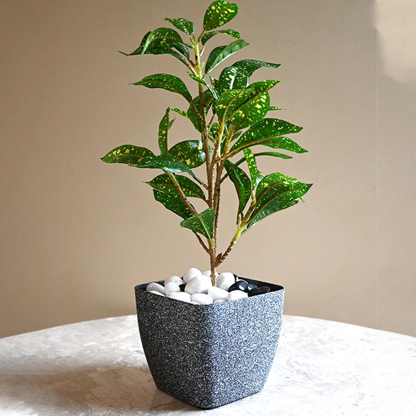 Majestic Dark Grey Textured Planter Square Large Pot Without Plant | 7 x 6 inches