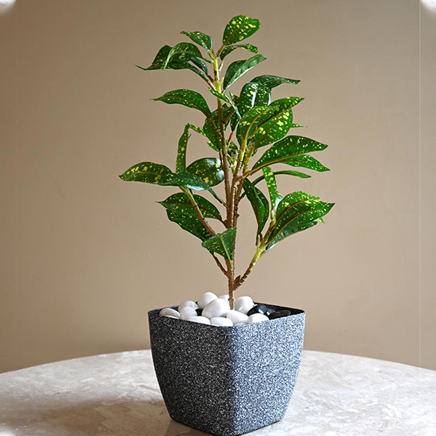 Majestic Dark Grey Textured Planter Square Large Pot Without Plant | 7 x 6 inches