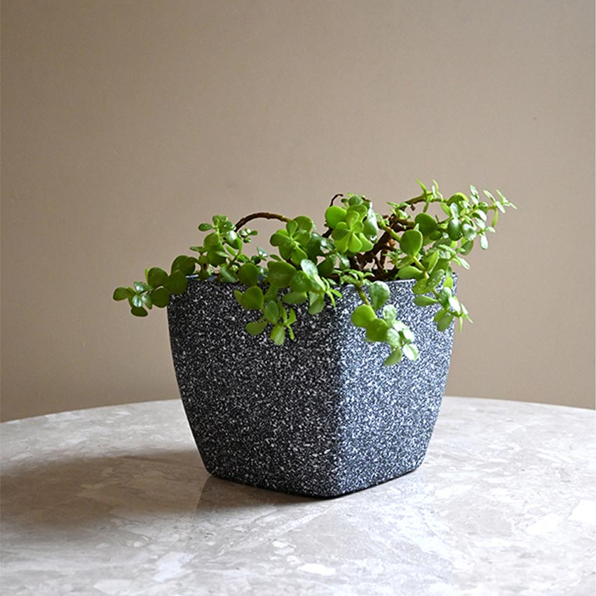 Majestic Dark Grey Textured Planter Square Large Pot Without Plant | 7 x 6 inches