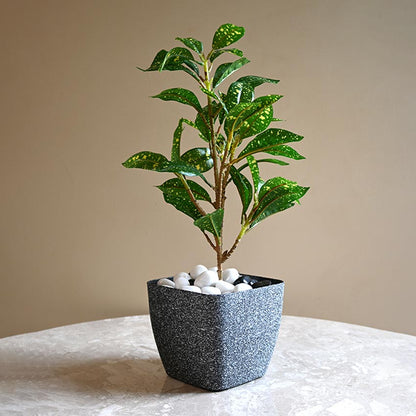 Majestic Dark Grey Textured Planter Square Large Pot Without Plant | 7 x 6 inches