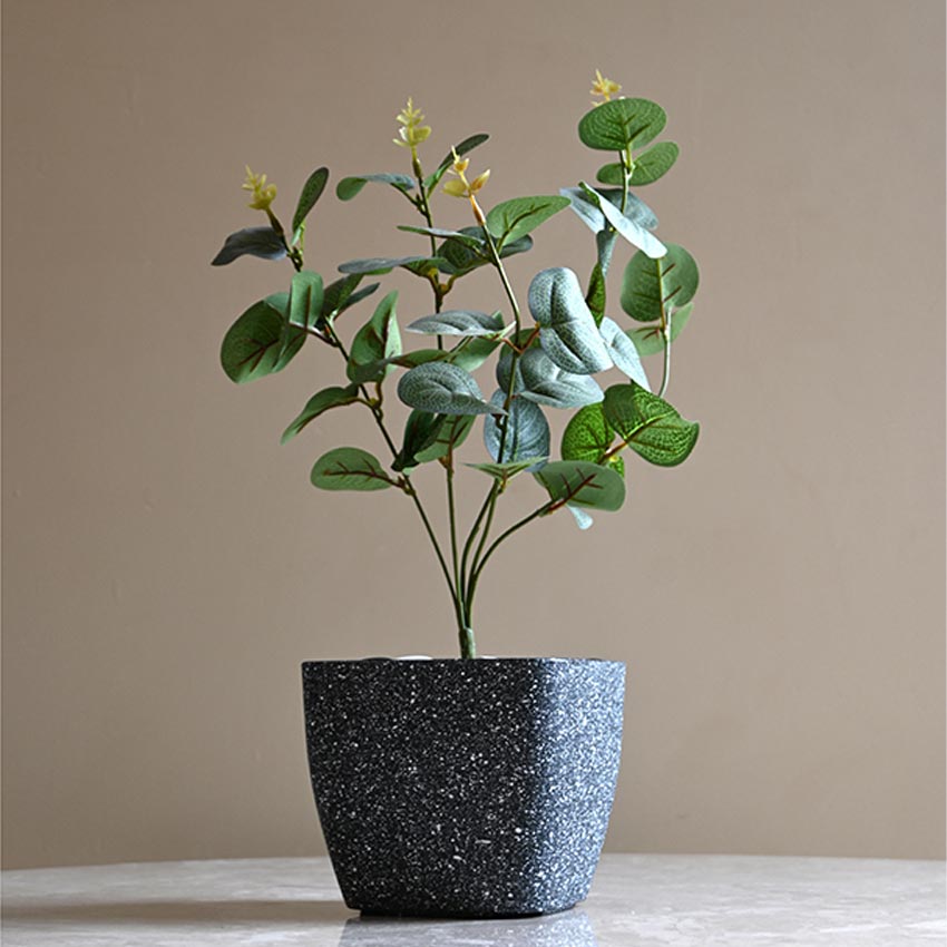 Majestic Dark Grey Textured Planter Square Large Pot Without Plant | 7 x 6 inches