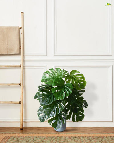 Ornamental Monstera Polyester Artificial Plant with Pot | 18 Leaves | 3 feet